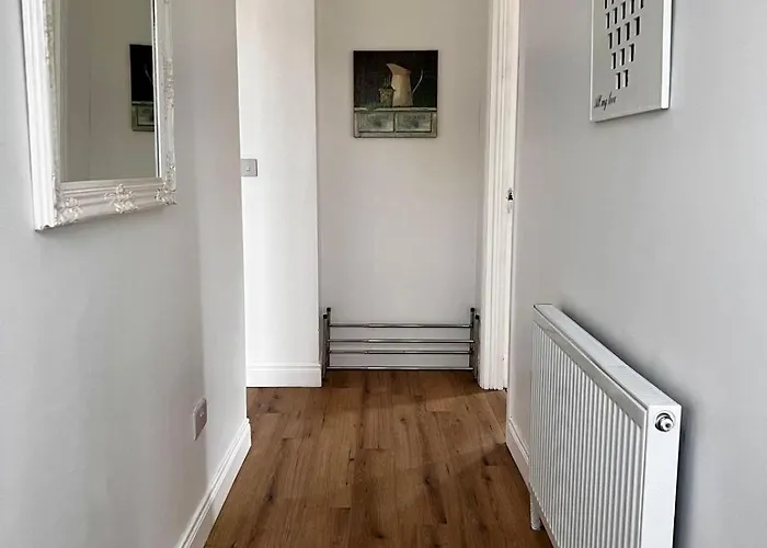 Teach Nora * 도니골